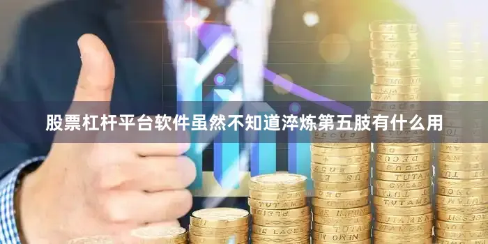 股票杠杆平台软件虽然不知道淬炼第五肢有什么用