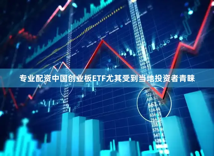 专业配资中国创业板ETF尤其受到当地投资者青睐