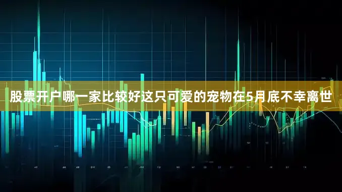 股票开户哪一家比较好这只可爱的宠物在5月底不幸离世