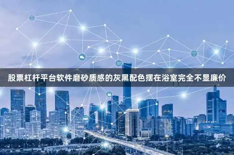 股票杠杆平台软件磨砂质感的灰黑配色摆在浴室完全不显廉价